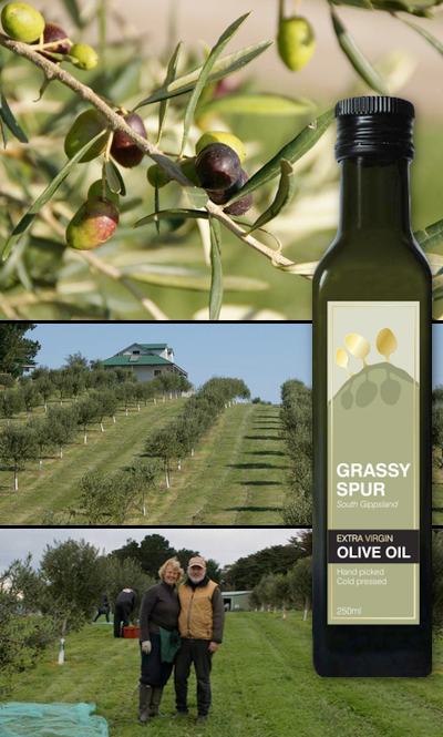 Grassy Spur Olives image